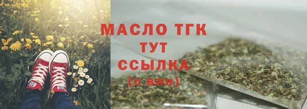 дживик Козельск