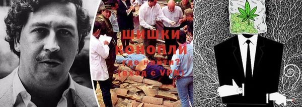 дживик Козельск