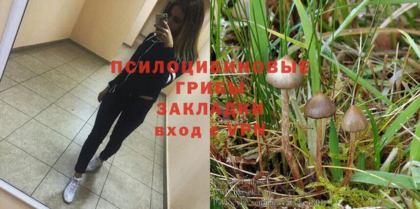 COCAINE Козловка