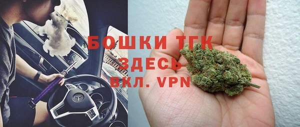 дживик Козельск