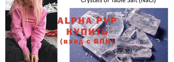 дживик Козельск