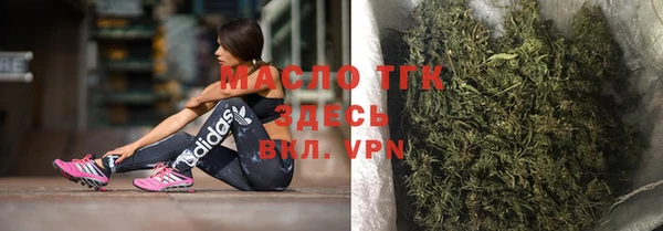 дживик Козельск
