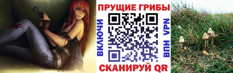 Купить где  Фёдоровский  Галлюциногенные грибы прущие грибы 